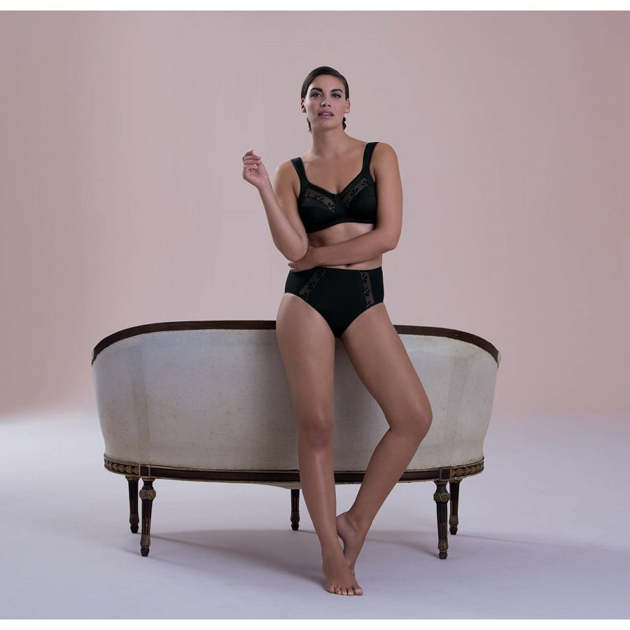 high waisted briefs, sophia, anita.