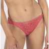 medium briefs, unity, dorina. medium briefs, unity, dorina.
