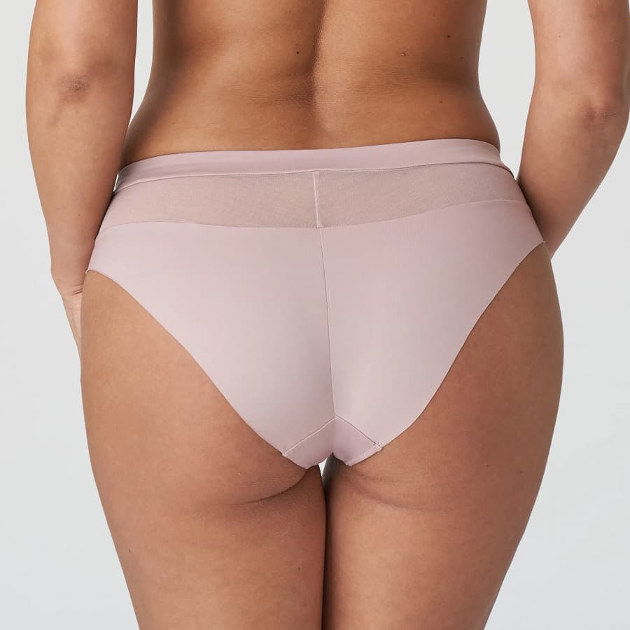 medium briefs, sophora, primadonna.