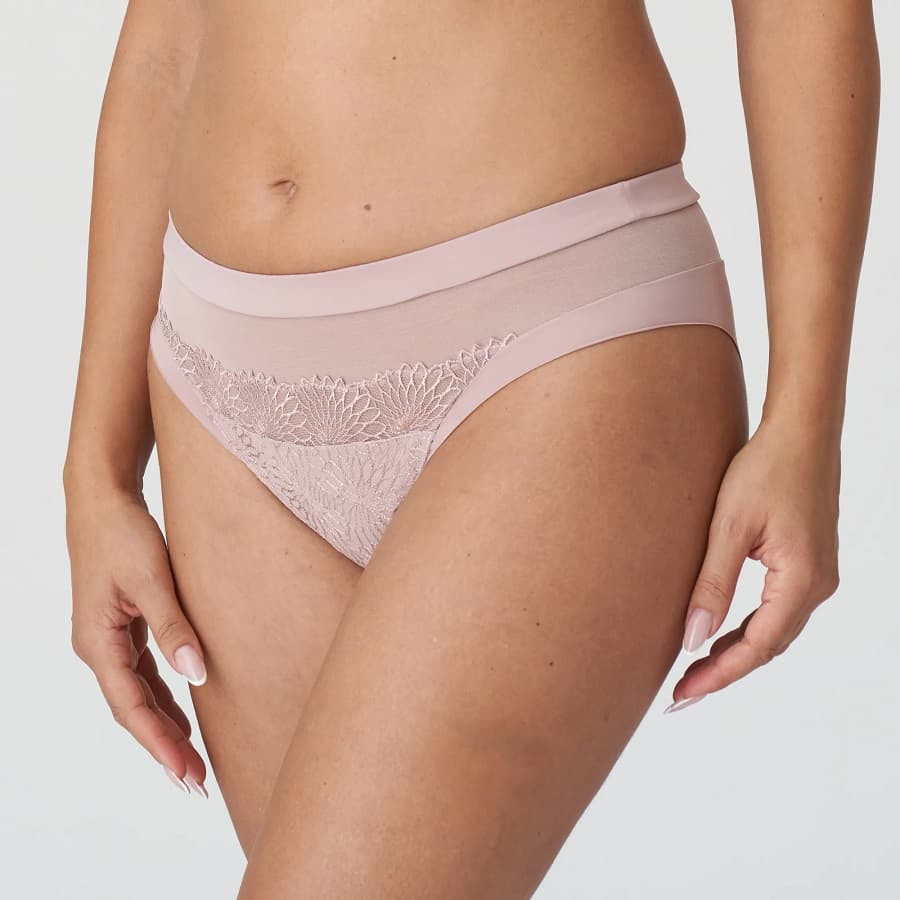 medium briefs, sophora, primadonna.