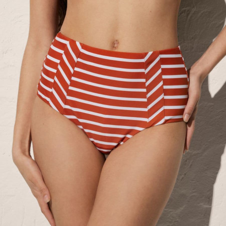 Minimizer bikini top + bikini full briefs, ysabel mora.