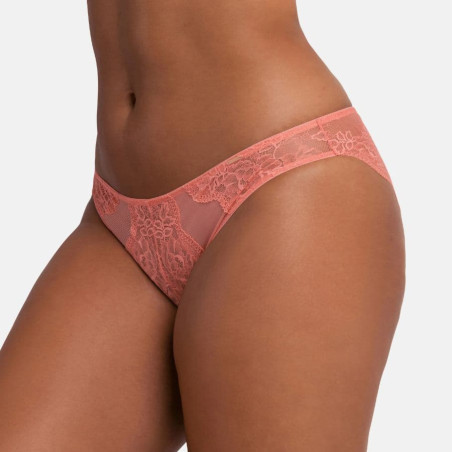 Medium briefs, clara, dorina.