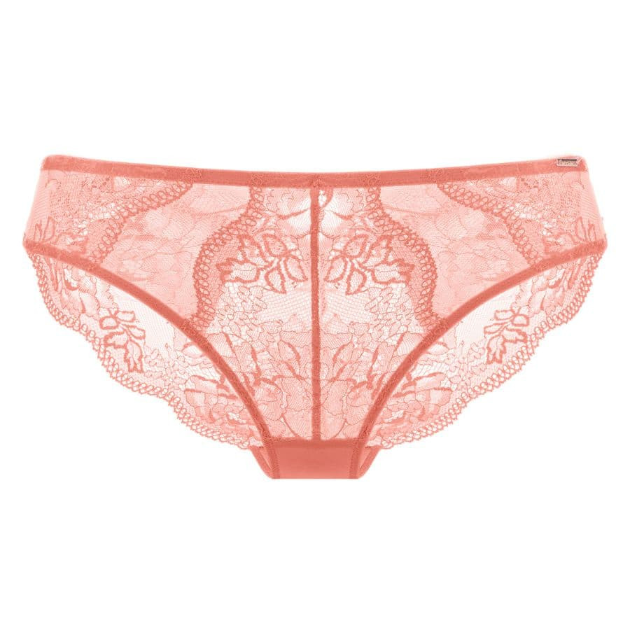 Medium briefs, clara, dorina.