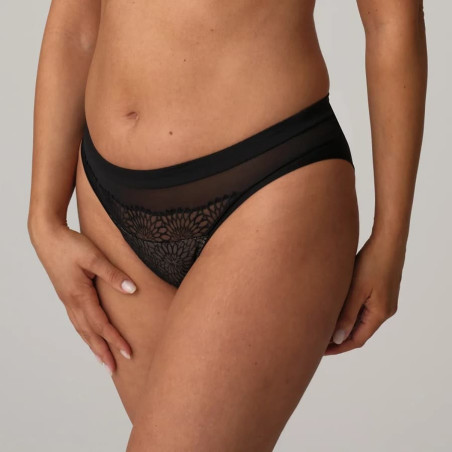 medium briefs, sophora, primadonna.
