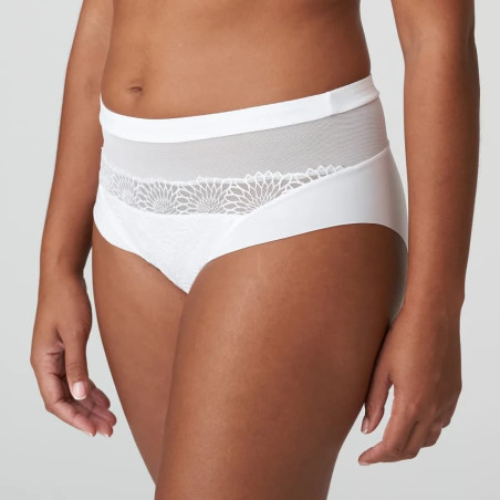 high waisted briefs, sophora, primadonna.