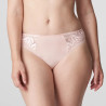 Medium briefs, orlando, primadonna. Medium briefs, orlando, primadonna.