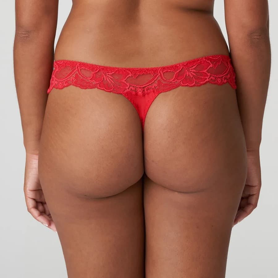 braguita corte tanga de encaje, madison de primadonna.