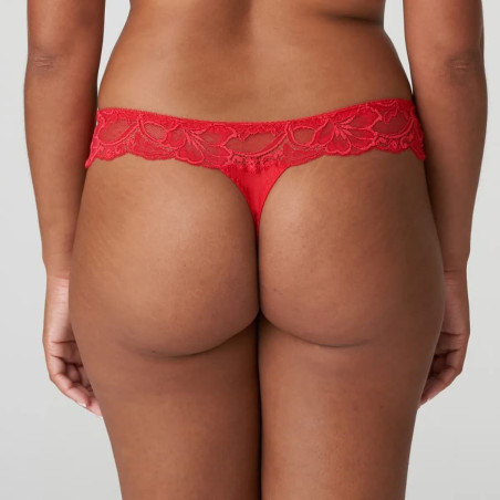 braguita corte tanga de encaje, madison de primadonna.