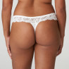 tanga briefs, madison, primadonna. tanga briefs, madison, primadonna.