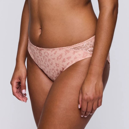 Medium briefs, madison, primadonna.