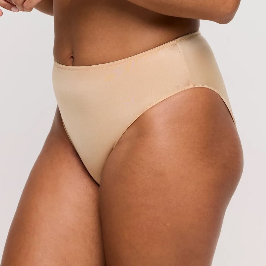 high waisted briefs, satin, primadonna.
