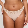 tanga briefs, madison, primadonna. tanga briefs, madison, primadonna.