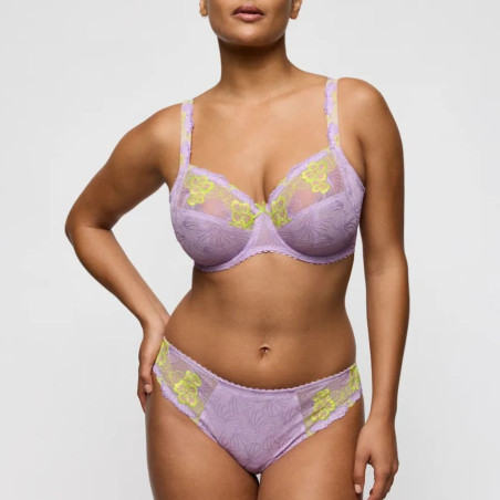 Medium briefs, ixia, primadonna.