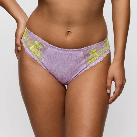 Medium briefs, ixia, primadonna.