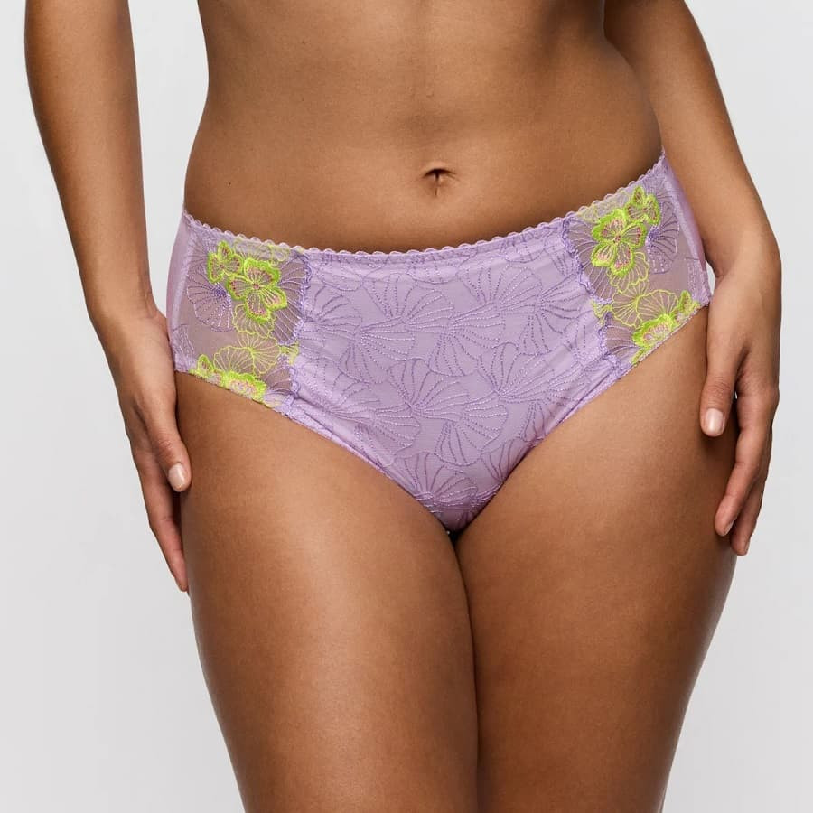 High waisted briefs, ixia, primadonna.