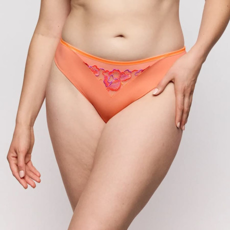 Medium briefs, devdaha, primadonna.