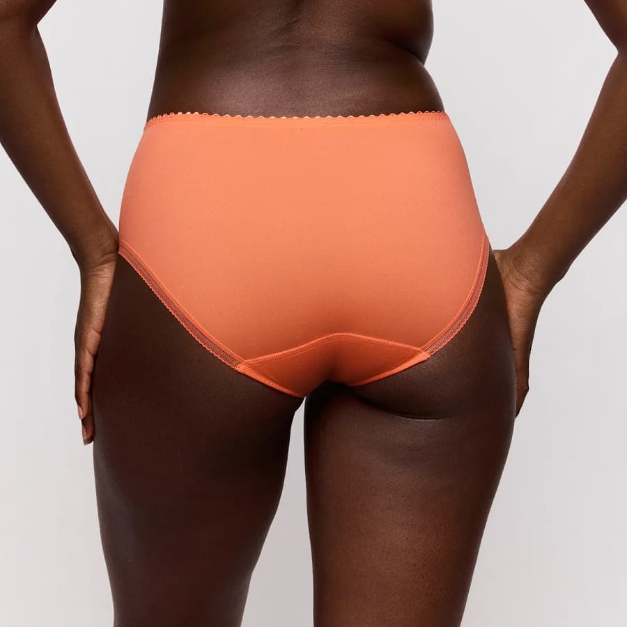 High waisted briefs, devdaha, primadonna.