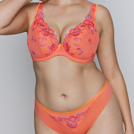 Medium briefs, devdaha, primadonna.