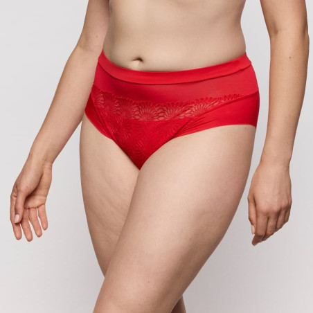 Sophora High-Waist Lace and Tulle Brief, primadonna.