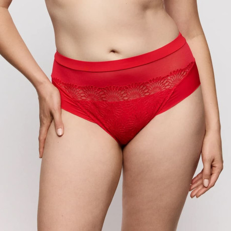 Sophora High-Waist Lace and Tulle Brief, primadonna.
