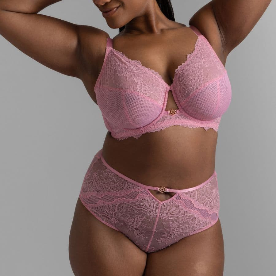 Cassandra High Waist Lace Brief , dorina.