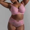 Cassandra High Waist Lace Brief , dorina. Cassandra High Waist Lace Brief , dorina.