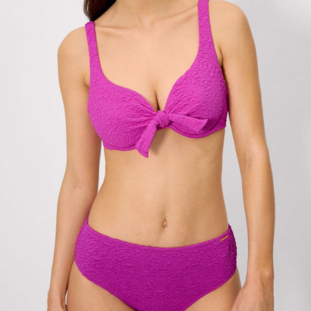 Seasalt Plus Size Minimizer Bikini Set with Underwire, ysabel mora.
