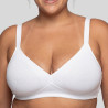 minimizer bra, non wired, non padded, daniela, dorina.